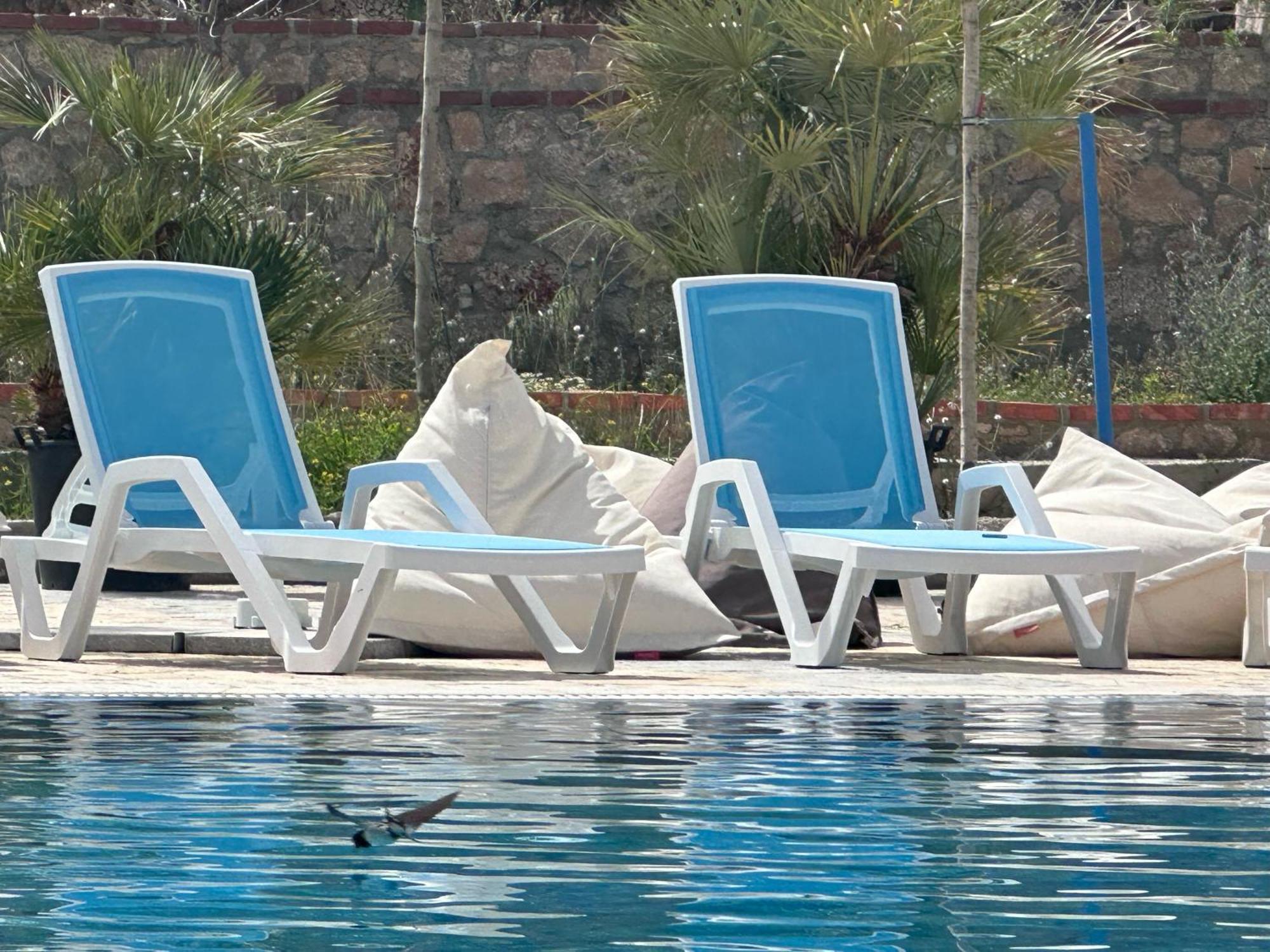 Exclusive Greccia Inn Dhërmi Værelse billede