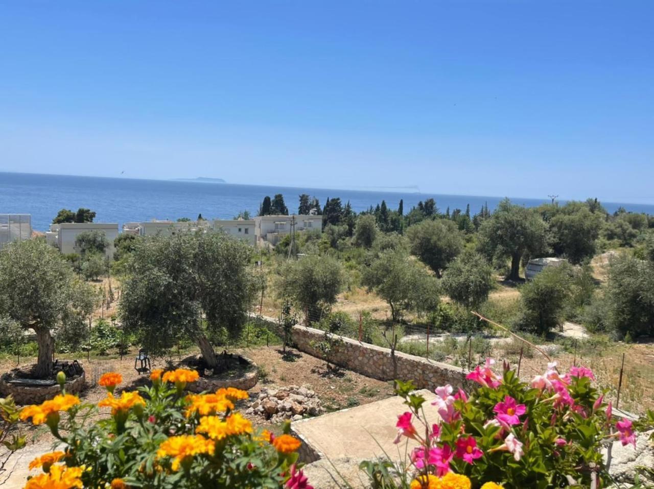Exclusive Greccia Inn Dhërmi Eksteriør billede